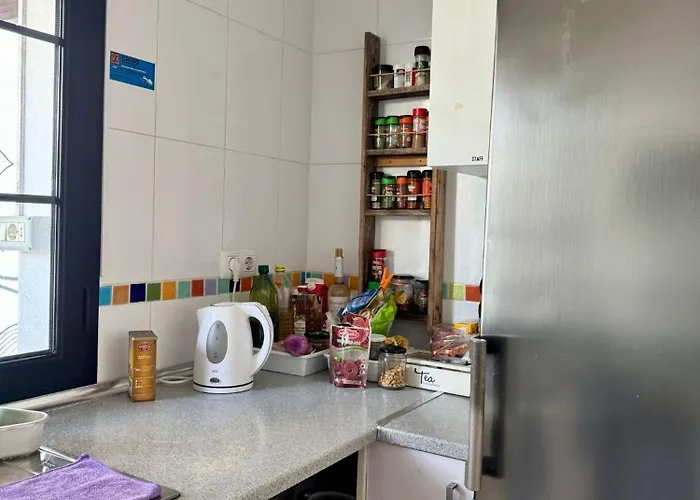 بيت شباب La Fresa *